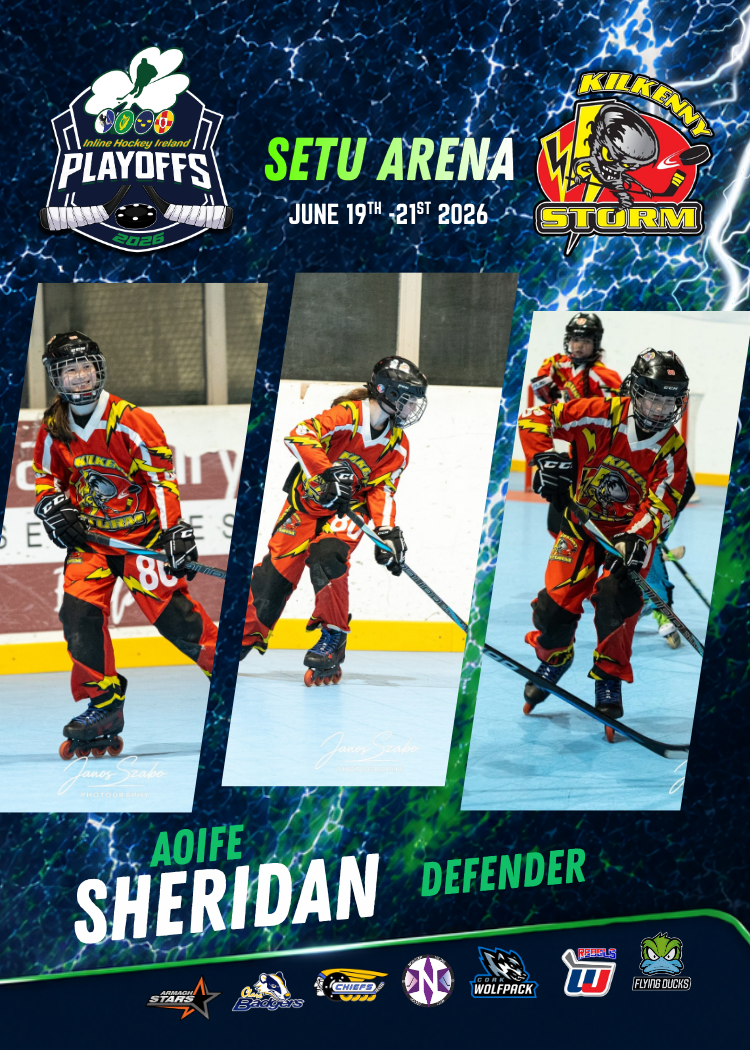 PLAYOFF TRADING CARD
