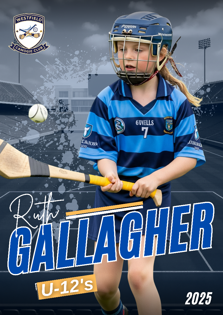camogie trading cards