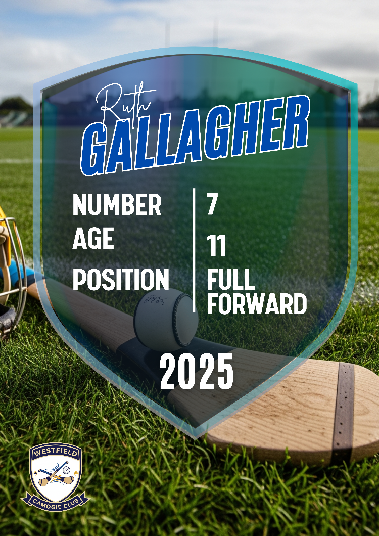 Shield-shaped sports jersey with player information on a grass field background